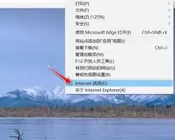 �����ie11��������������