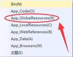 vs����ASP.Net�ļ����и�ѡ����ʲô��˼