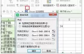 Excelɸѡ����ô����-Excelɸѡ����ν��и���
