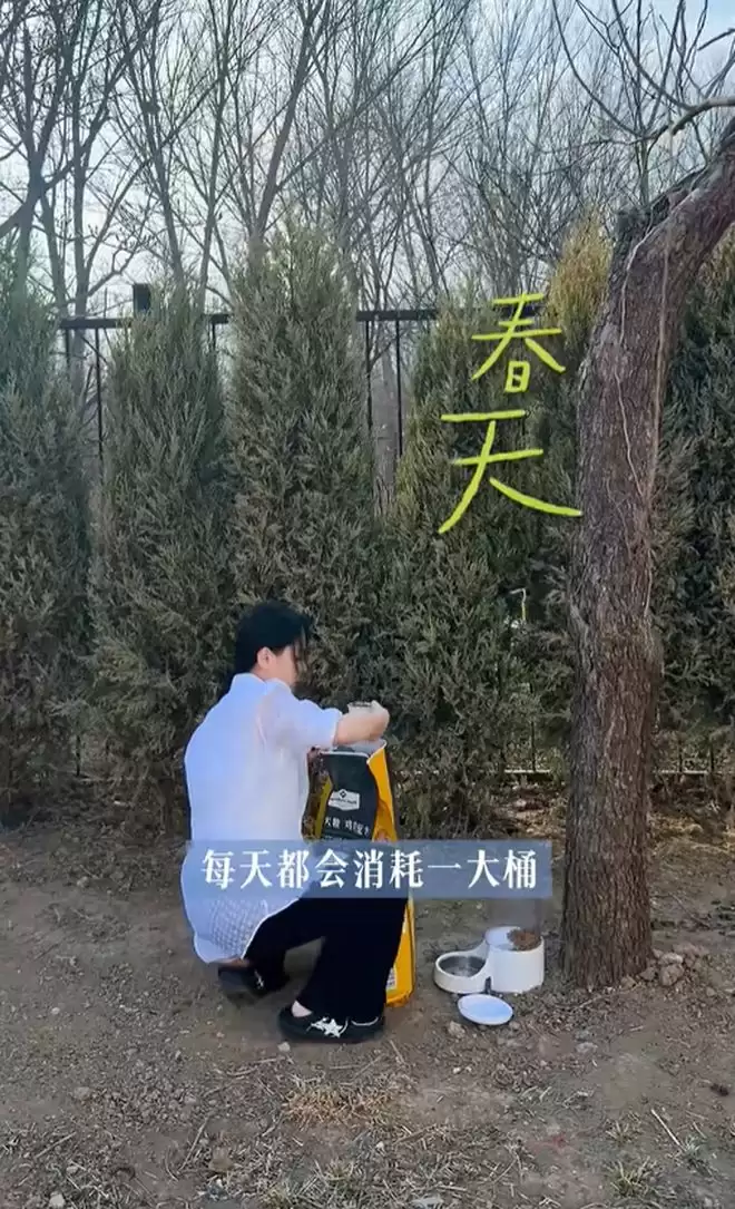 ����һ���˶����Ϻ��������Ժ�ӷǳ���������è��46�굥�����޼�