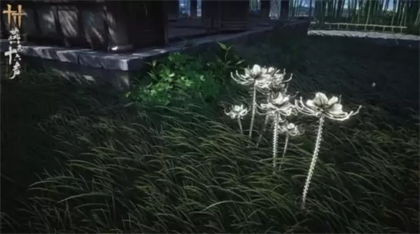 ������ʮ�����������׸����������������������ȫ����������