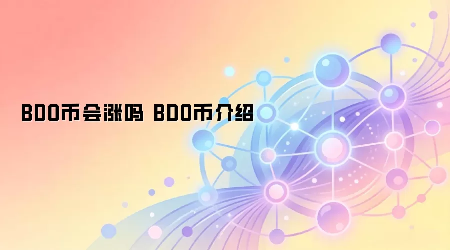 BDO�һ����� BDO�ҽ���