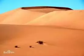 �������������򱻳�������ɳĮ