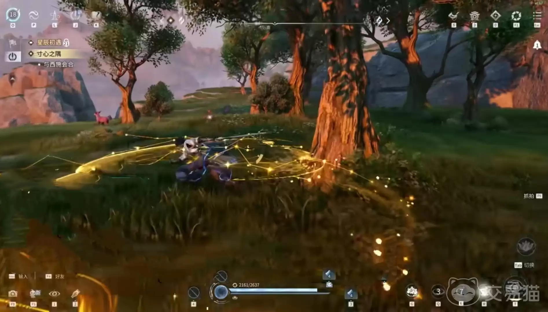 ������ҫ���綫�������м���������ҫ���綫����PVPʵս���н�ѧ