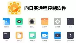 ʲô��Զ�̿�������