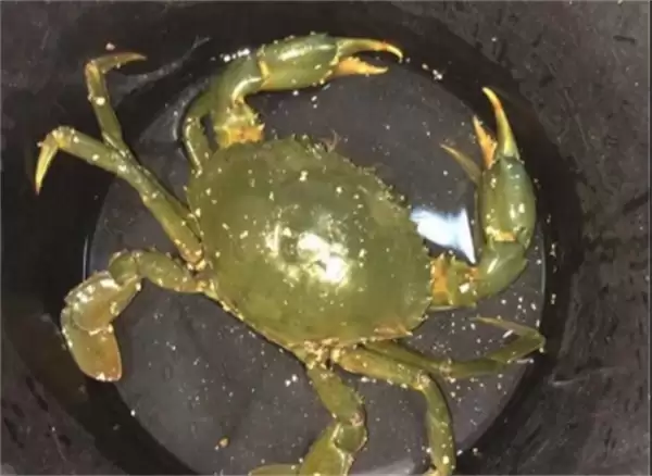 ���溣��4��22�ս��մ�2026