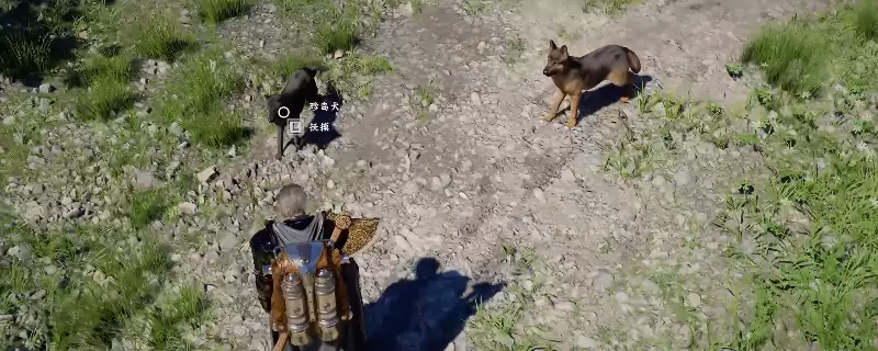 ����ɫɳĮ������ˢ����������������