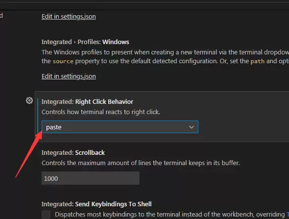VSCode�Ҽ�������ݲ�����ô����