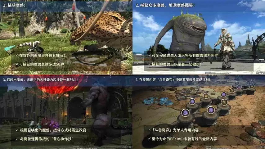 �����ջ���14���ڶ���7.5�汾ǰհ��Ϣ���ϣ�