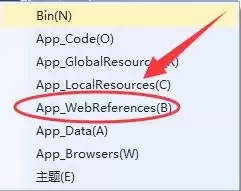 vs����ASP.Net�ļ����и�ѡ����ʲô��˼
