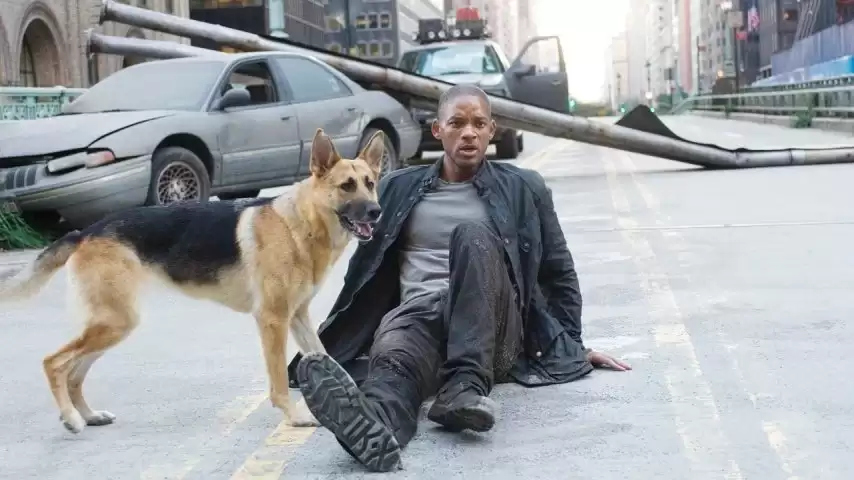 �����Ǵ���2��ȷ�Ͽ��ģ�������ʷ��˹ʱ��20��ع飡