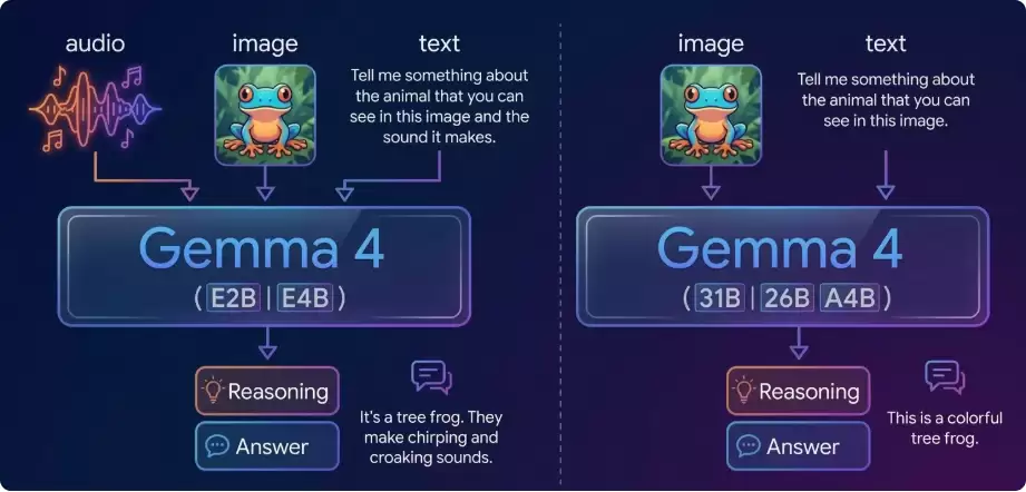 �����û���������ֻ�������Gemma 4��