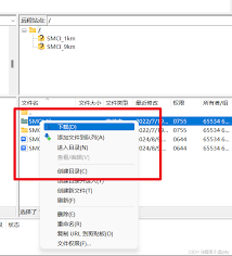 ���ͨ��FTP����������Դ- FTP����������Դ��ָ��