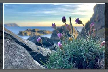 �����ع�����ʲô��˼�����㱩��������������