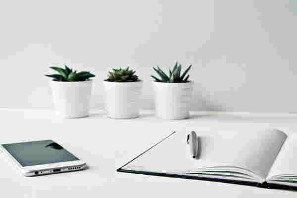 ������ô���ö���������һ��Ҷ�ò�������