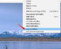 �����ie11��������������