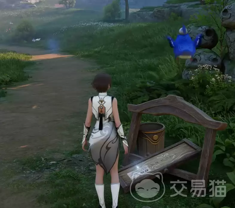 ������ҫ������Ů���趨����������ҫ�����ɫ������������������