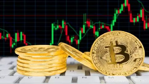 2026������ʮ������APP����ָ��:��Ȧ���ֱؿ�!