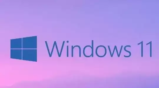 ��u��װwin11һֱ�������Ե���ô��