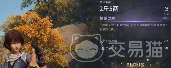 ������ҫ������㼼��ȫ����������ҫ������㷽����߲���λ���