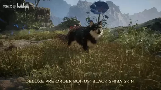 GF���ֻ�֮�ޡ�����ʵ��������Ԥ���ѿ�248Ԫ