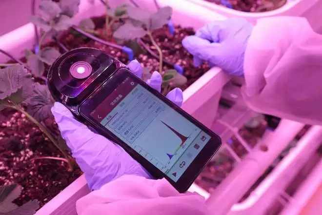 ������ܡ�ˮ����ֲ��AI���ء��������ѧ������ƽ��ݮֲ�﹤��ʹ��