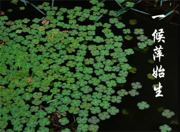 ����ׯ԰4��20�ս��մ�2026