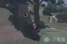 �����������ɡɡ���ɼ�·����ʲô