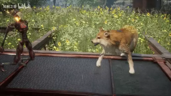 GF���ֻ�֮�ޡ�����ʵ��������Ԥ���ѿ�248Ԫ