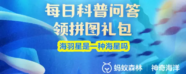 ��������һ�ֺ�����