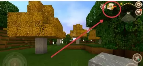 ������������ô������