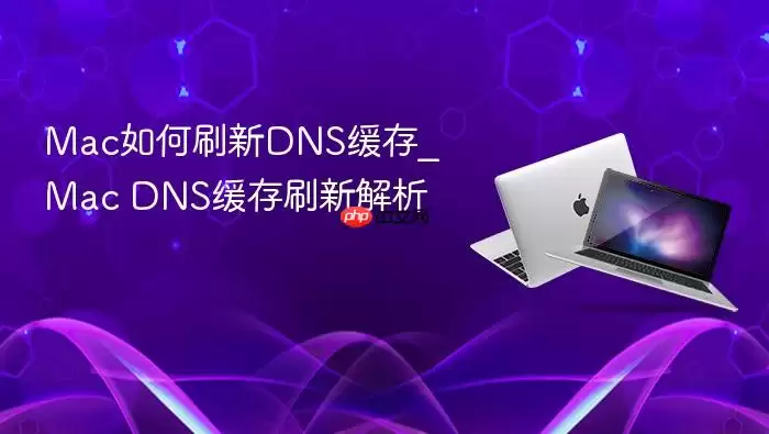 Mac���ˢ��DNS����_Mac DNS����ˢ�½���