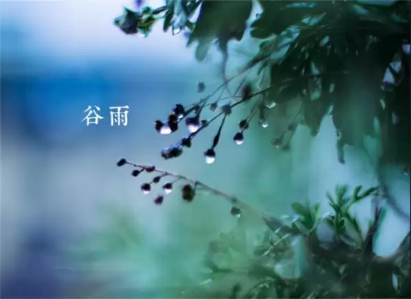 ����ׯ԰4��20�ս��մ�2026