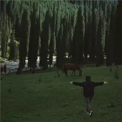 ������Ϸ������������(��ѡ100��)