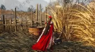 ����ʮ��������èϷ����-����ʮ��������èϷλ�ý���