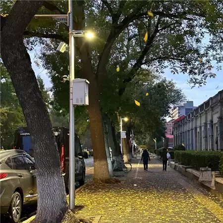 ������Ϸid�˸����������߼�(��ѡ100��)