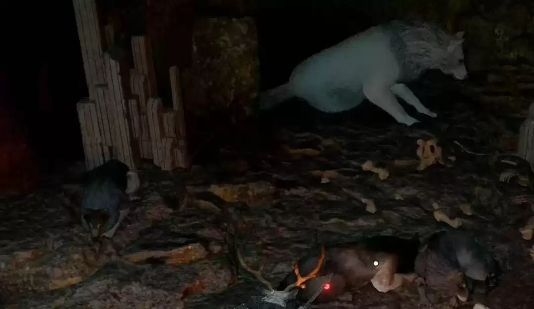 ����ɫɳĮ���ռ����˳ɾ���������