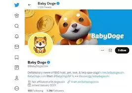 babydoge��ʲôʱ����