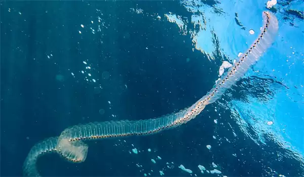 ���溣��4��18�ս��մ�2026