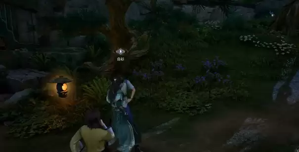 ��������ҫ���硷���������ռ�����