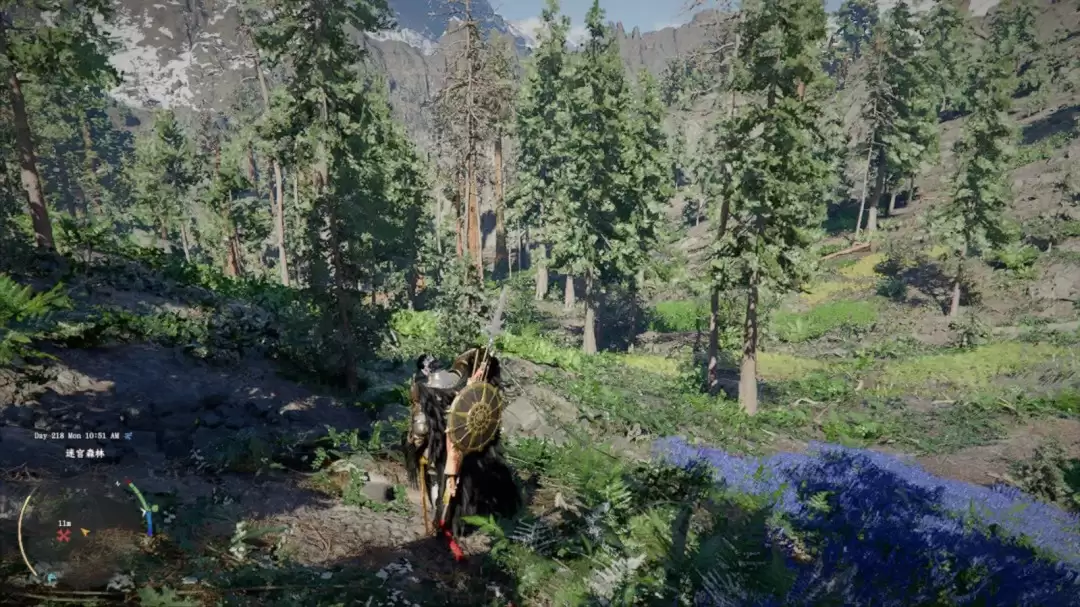 ����ɫɳĮ���ռ����˳ɾ���������