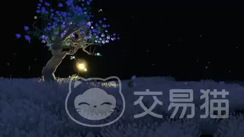 �����������κ���������������κ����淨����ɫ�������