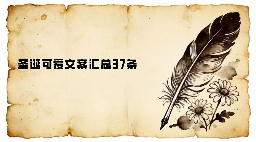 ʥ���ɰ��İ�����37��