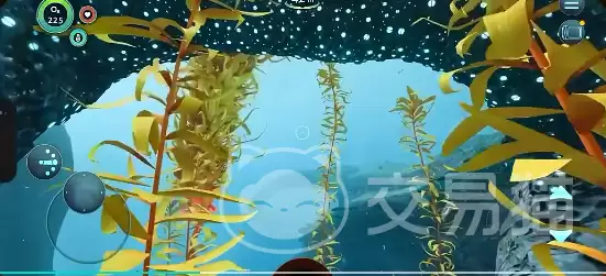 ��Ժ�����֮�½��ʯ�ɼ�λ�����ȡ�������