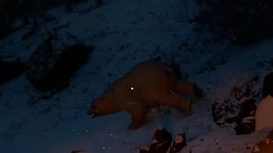 ����ɫɳĮ���ռ����˳ɾ���������