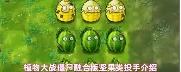 ֲ���ս��ʬ�ںϰ�������Щ�����Ͷ��