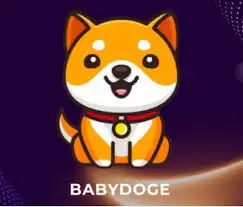 babydoge��ʲôʱ����