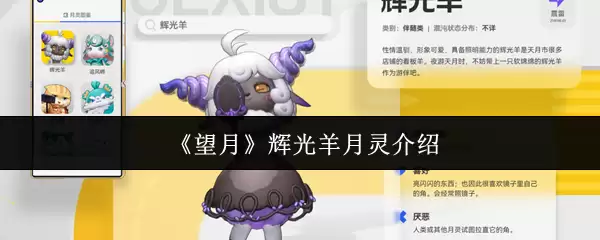 �����¡��Թ����������