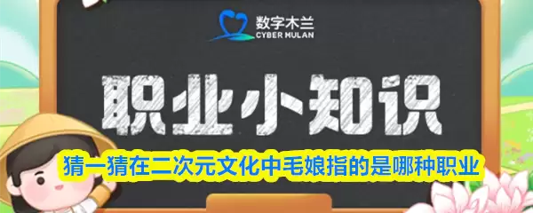 ��һ���ڶ���Ԫ�Ļ���ë��ָ��������ְҵ