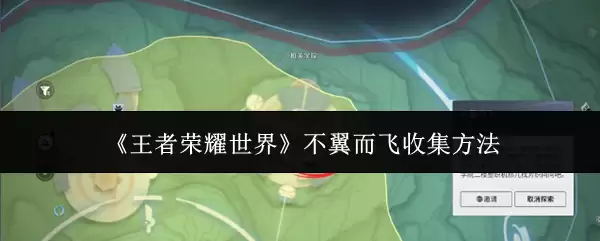 ��������ҫ���硷���������ռ�����